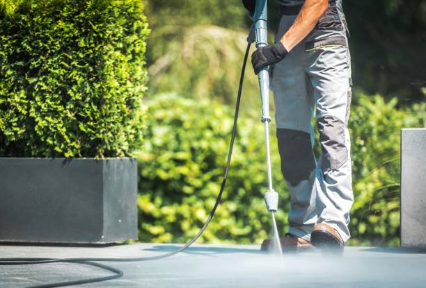 Best Driveway Pressure Washing  in Cambridge City, IN